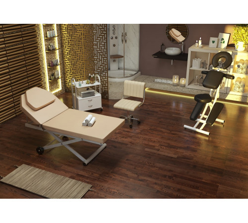 Стул мастера Франк