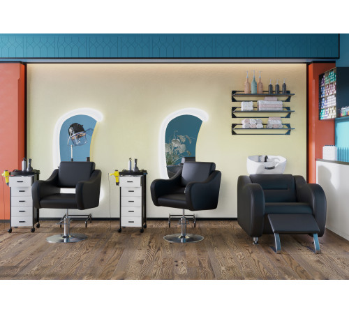 Комплект МД-24 (кресло + мойка)