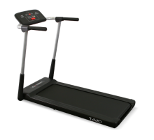 Беговая дорожка CARBON FITNESS T220