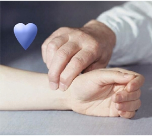 Беговая дорожка OXYGEN FITNESS NEW CLASSIC CUPRUM LCD