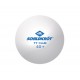 Мячики для н/тенниса DONIC 2T-CLUB (120 шт), белые