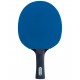 Ракетка для настольного тенниса Color Z Blue